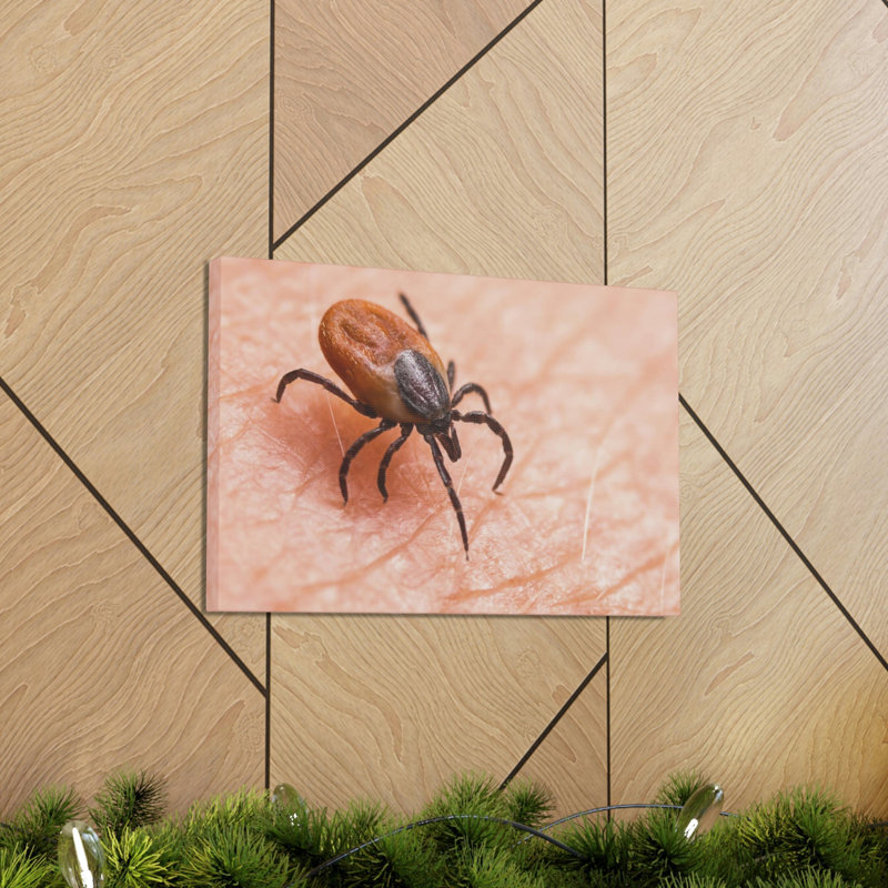 No Frame Print on Canvas