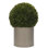 UV RATED | Boxwood Ball, Con Planter, 22wx22dx33h