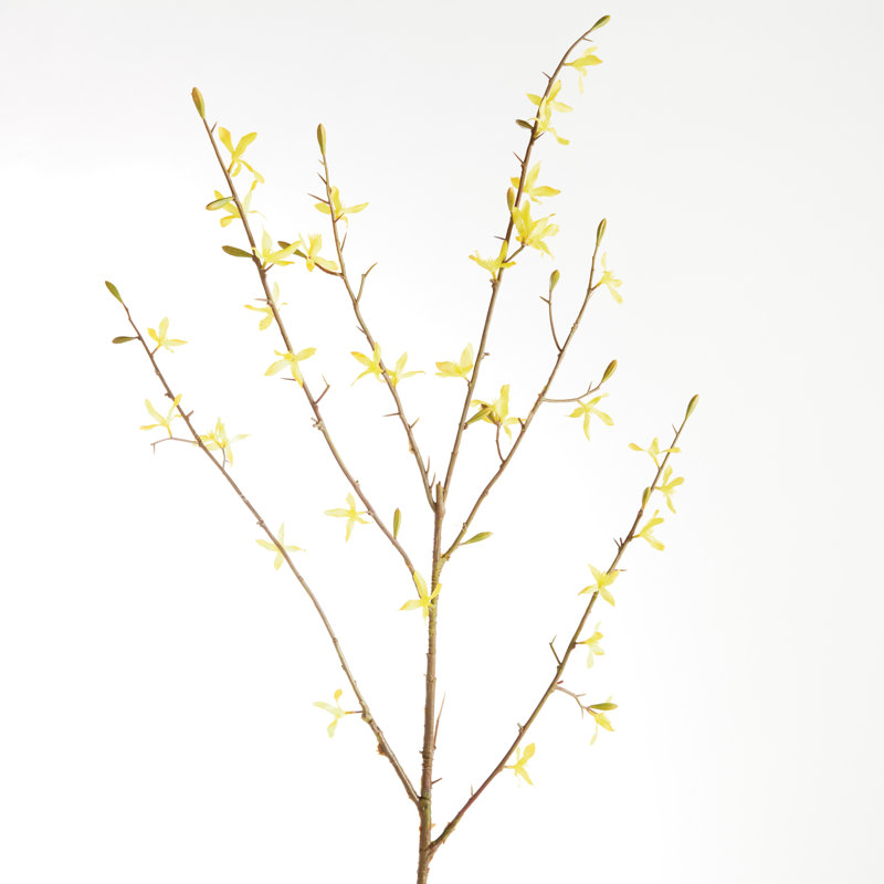 FORSYTHIA STEMS 47 ", ENSEMBLE DE 6