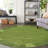 Solid/Striped Desdemona  Rug Lime Color-71186807