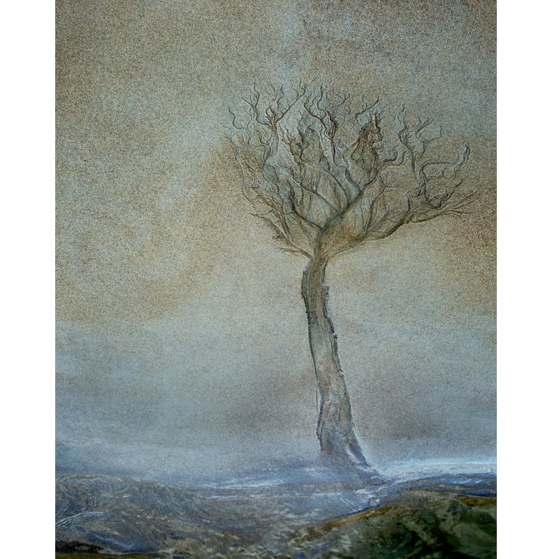 Wrapped Canvas Print, 50.8 cm H x 76.2 cm W