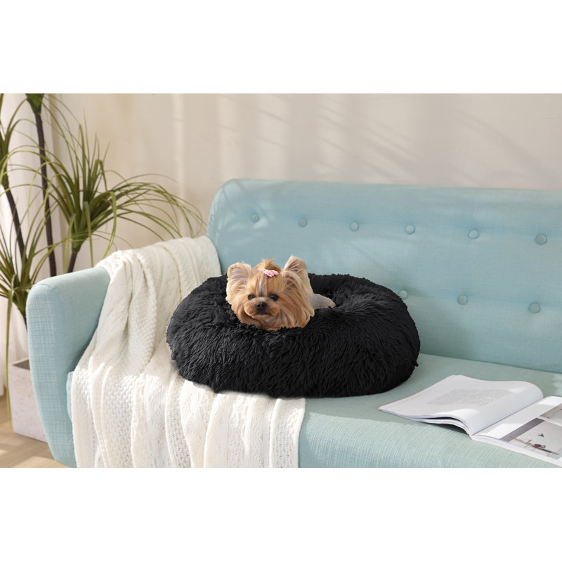 Beignet chaud Artrice, Noir, Petit (H 8 po x l 22 po x P 22 po)