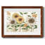 Sunflower Surprise, reproduction d'art encadrée-1633541284-1633541290