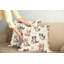 Ensemble de 2 housses de coussin pour chat Ambesonne ivoire abricot et gris foncé-99021155-99021154