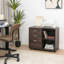 Joori 80 cm W 3 -Drawer Filing Cabinet-949196283