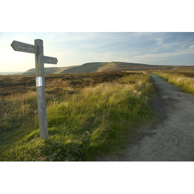 Panneau en bois Moorland dans un champ verdoyant par Thomasaurus