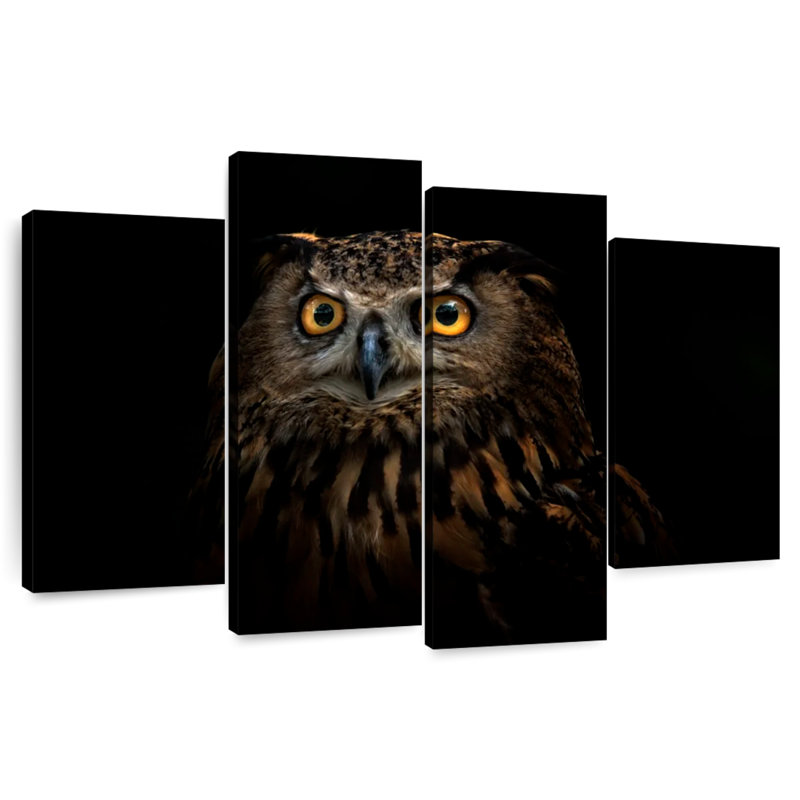 Brampt Owl Expression, 54" H x 84" W