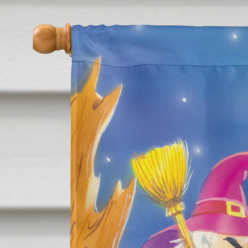 Zakare Double Sided Polyester Halloween Garden Flag, 28" H x 40" W