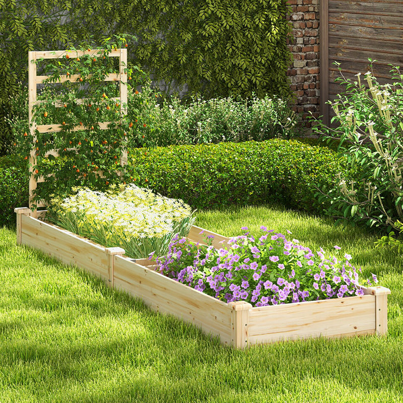 Arlmont & Co. Raised Garden Bed Wooden Planter Box With Divided Space For Outdoor Natural
