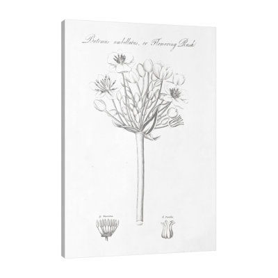 «Botany Book VII», reproduction d'impression sur toile