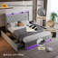 Metal Storage Bed