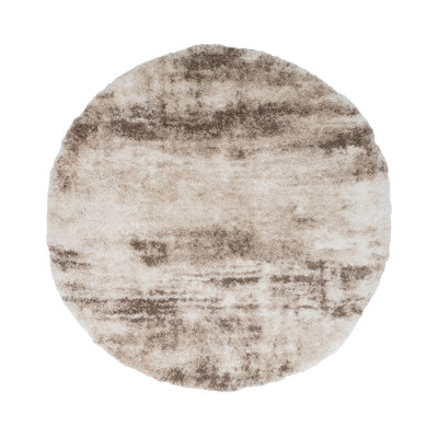 Alban Indoor Shag Beige Area Rug