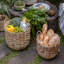 Panier en osier