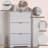Wavy 3-Door Shoe Storage,-1192555198