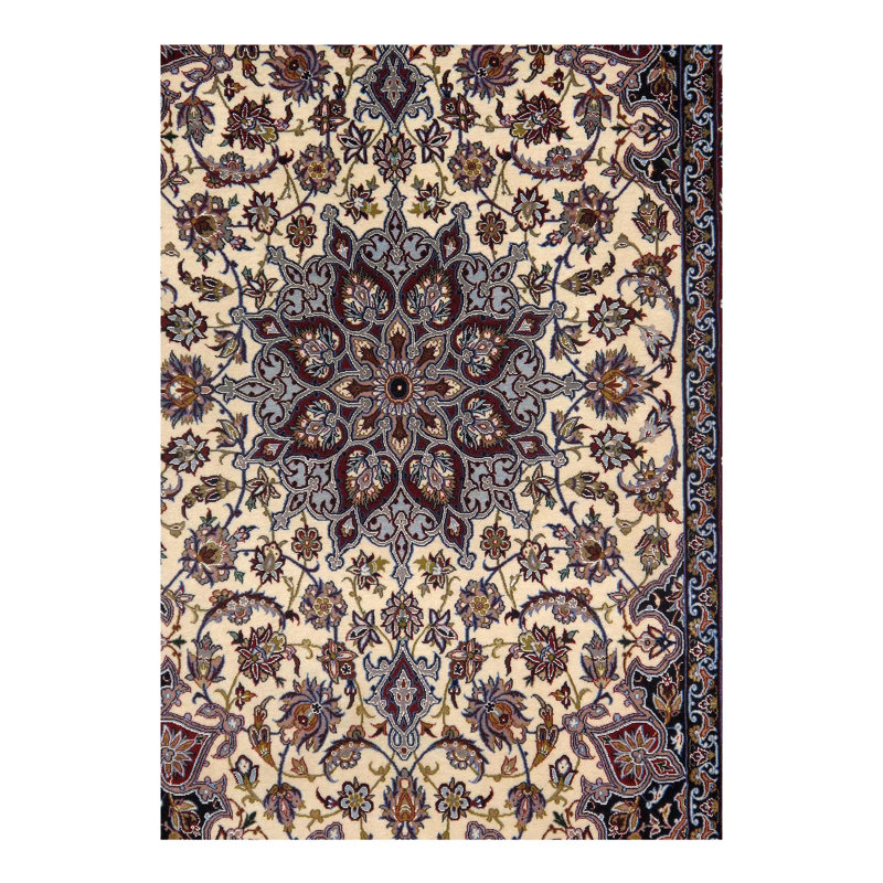 Mehinder Oriental Area Rug in Ivory