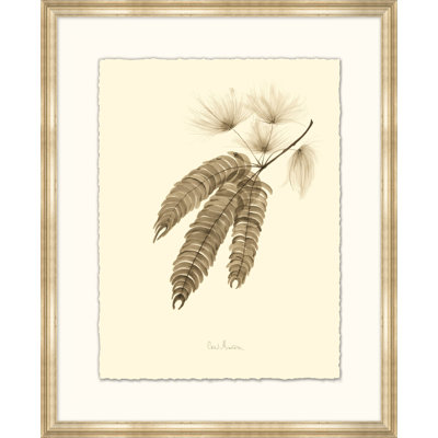 Mimosa - Impression de cadre photo sur papier