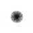 Black selected