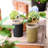 Olive Cylinder Vase Basket-1978497653