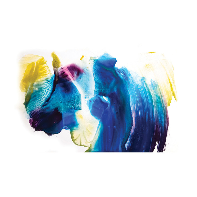 Anayelli Matte Peel & Stick Wall Mural, 152 x 104cm