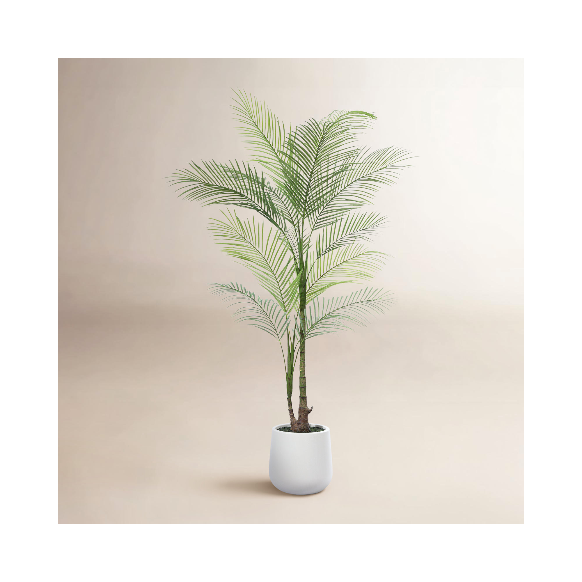 Amarillo Faux Palm Plants with Oval White Planter, Pre Potted Fake Greenry Palm Tree for Home Decor, 72" H x 24" W x 24" D