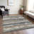 Machine Washable Indoor/Outdoor Chayden ACN1019 Charcoal Rug-99177732