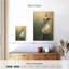 Chat blanc Brampt-108472445