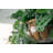 Lesandro Hanging Basket Drip Pan