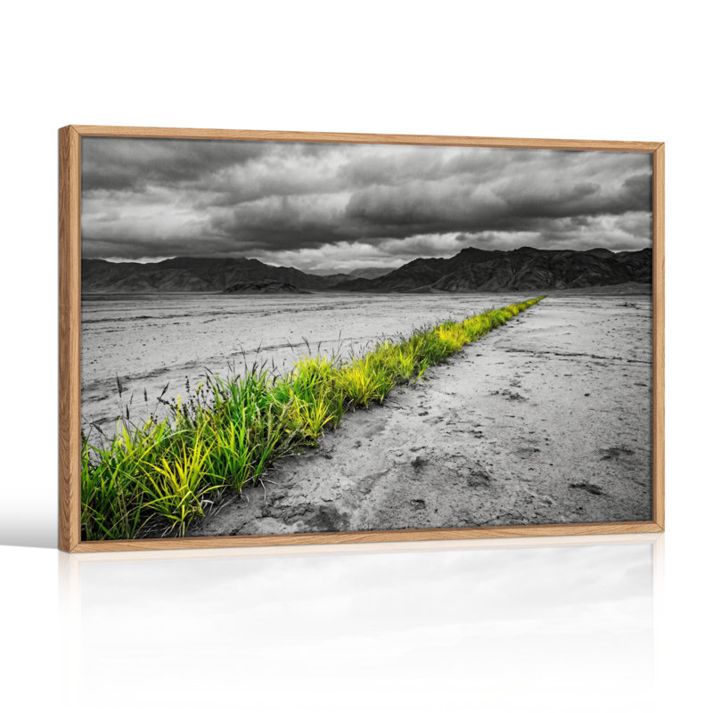 Ensemble de 1 tableau sur toile représentant de l'herbe du désert, 18"H x 24"W, Naturel