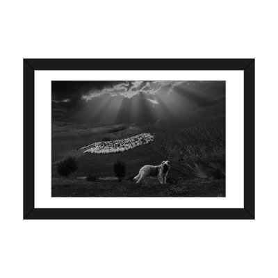 " Shepherd Dog " by Clas Gustafson