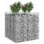 Planter-1473495514