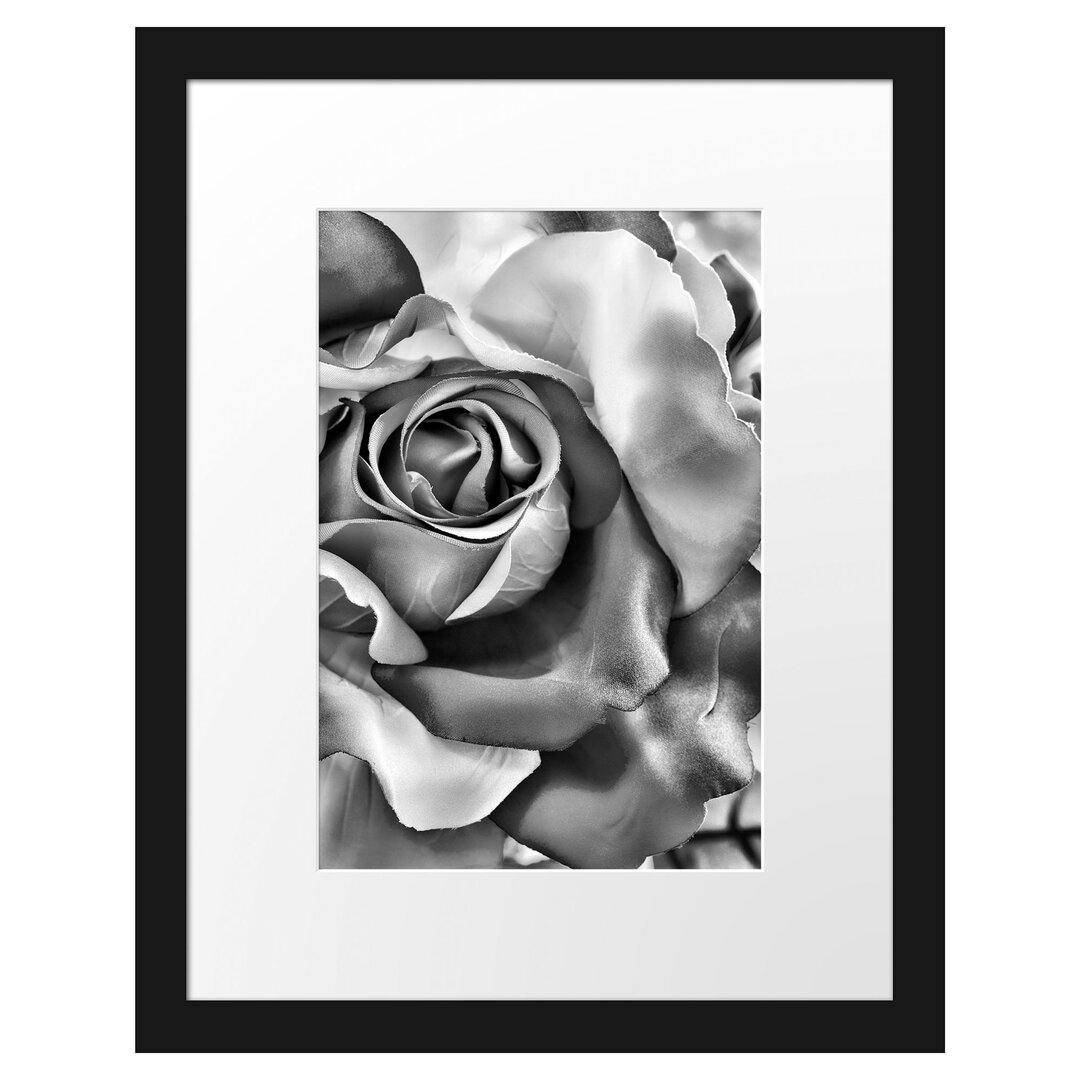 Gerahmtes Poster Bunte Rosen