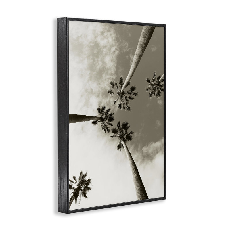 «Centric Palm Trees», estampe numérique par Wil Stewart, H 30 po x l 20 po, Giclée encadrée noir minuit