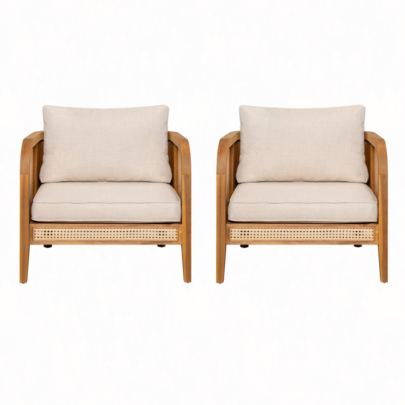 Chaise avec accoudoirs d'extérieur rembourrée, ensemble de 2