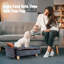 Archie & Oscar™ Elevated Small Dog Couch Bed With Bolster Sides, Raised Small Dog Sofa Bed With Headrest Pillow