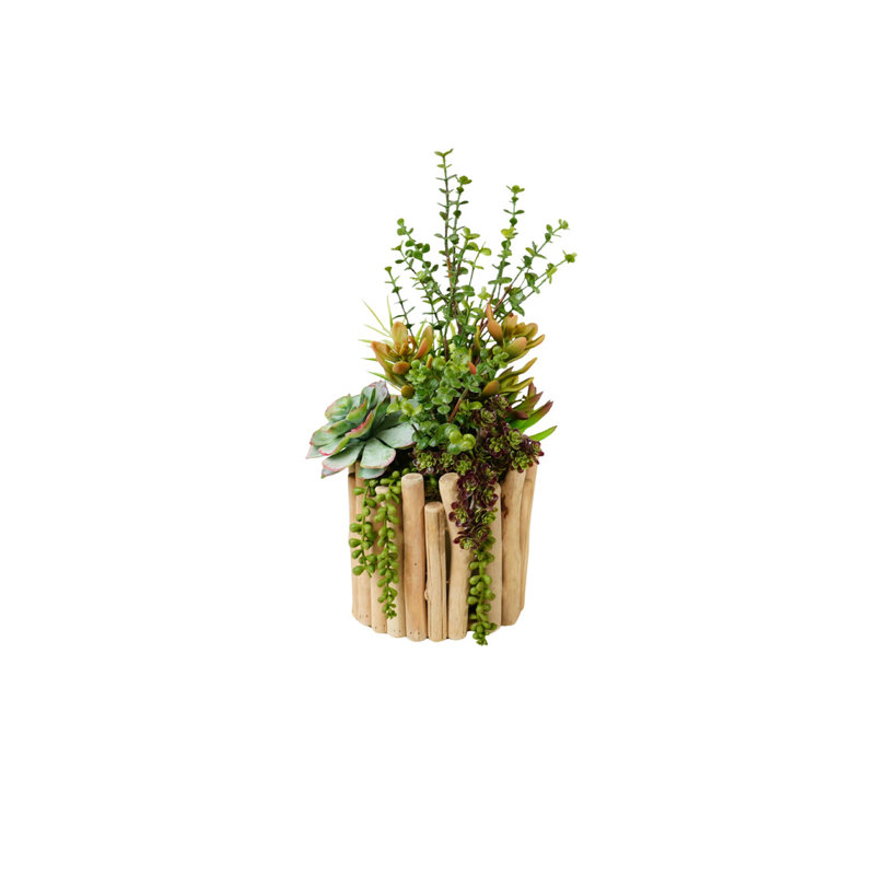 Succulents Arrangement in Glass Wood Planter