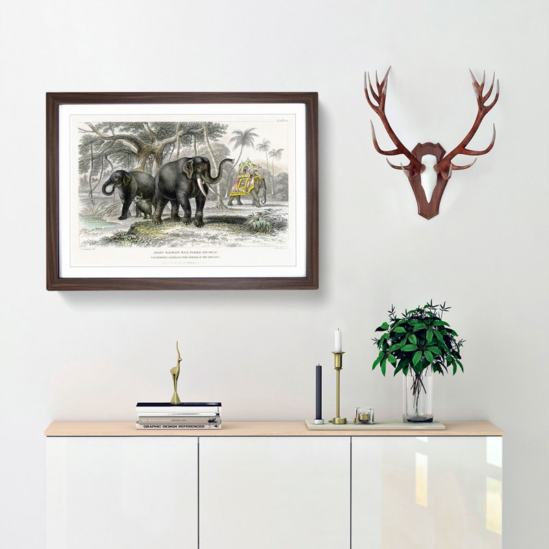 Asian Elephants by Oliver Goldsmith - Single Picture Frame Painting, Walnut, 45cm H x 63cm W x 2cm D