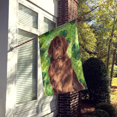 40 x 28 po en polyester à 2 côtés de la st patrick drapeau maison