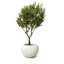 Tahiti Bowl With Artificial Olive Tree