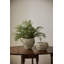 Camargo Surreal Vase-562655787