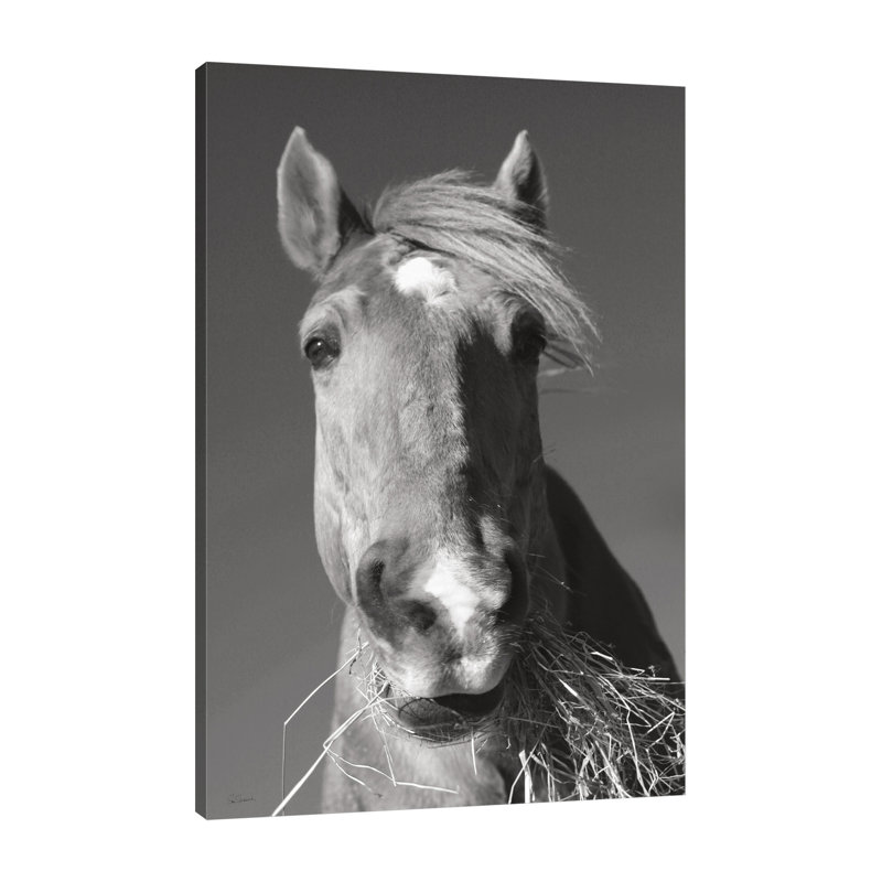 «Nourrir le temps v2» par Sue Schlabach - impression sur toile tendue, H 30 po x l 20 po x P 1,5 po