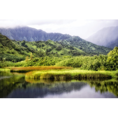 Coastal Marsh II - Photograph