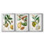 Turpin Tropical Fruit I - Impression personnalisée de qualité supérieure avec cadre mat - 3 pièces