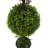 3' Artificial Double Ball Green Boxwood Topiary.