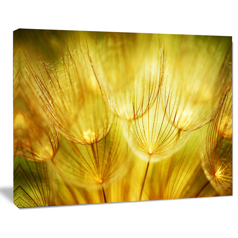 Doux jaune pissenlit - impression sur toile tendue, H 20 po x l 20 po x P 1 po
