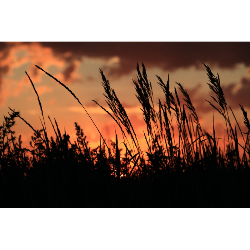 Hayfield - Wrapped Canvas Print, 30cm H x 46cm W
