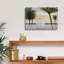 «Palm Daydreaming» par Diane Romanello-1424310971