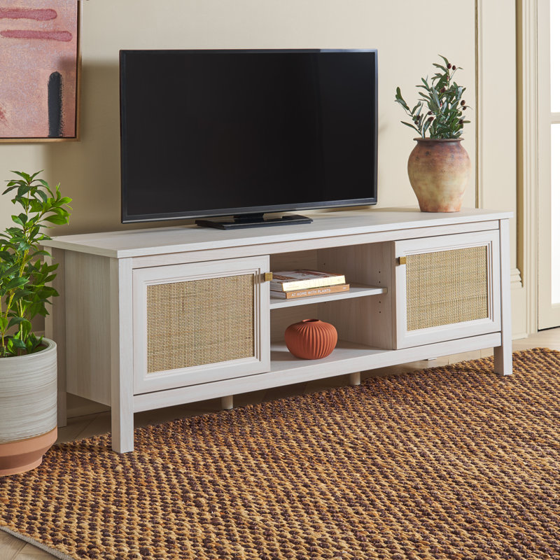 Alyosha 2 Door TV Stand, Bleached White / Natural