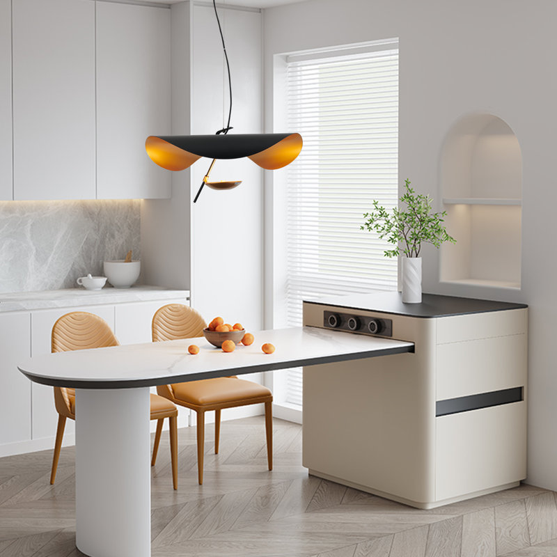 Luminaire suspendu 1 lumière