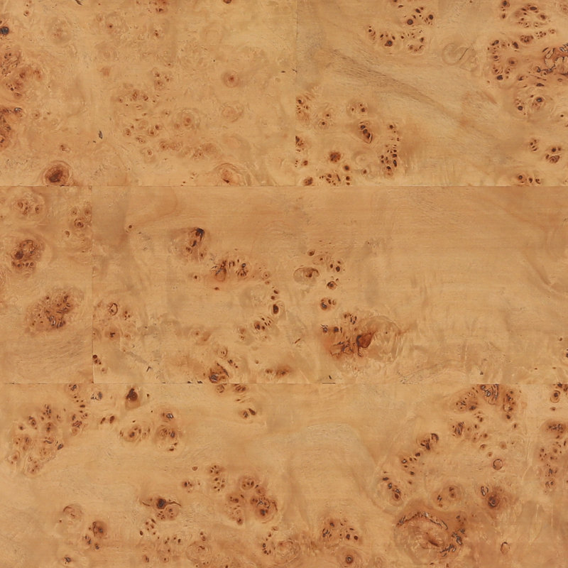 Foxwell Coffee Table Burl