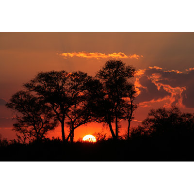 «Savann a Sunset» par Ecopic - photographie sur toile tendue